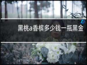 黑桃a香槟多少钱一瓶黑金