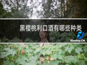 黑樱桃利口酒有哪些种类
