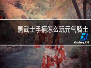 黑武士手柄怎么玩元气骑士