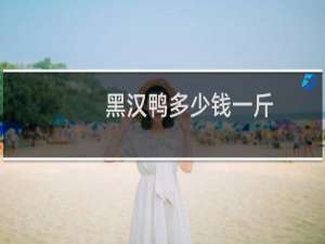黑汉鸭多少钱一斤