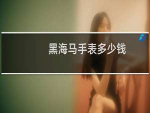 黑海马手表多少钱