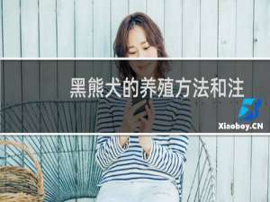 黑熊犬的养殖方法和注意事项（养殖黑熊犬的方法和注意事项）