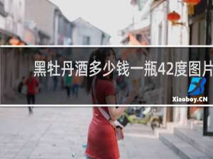 黑牡丹酒多少钱一瓶42度图片