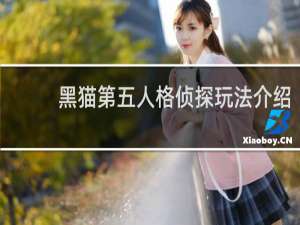 黑猫第五人格侦探玩法介绍