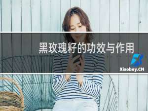 黑玫瑰籽的功效与作用