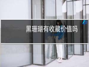 黑珊瑚有收藏价值吗
