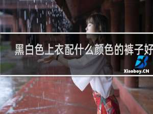 黑白色上衣配什么颜色的裤子好看