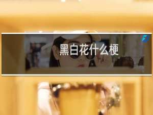 黑白花什么梗