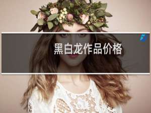 黑白龙作品价格