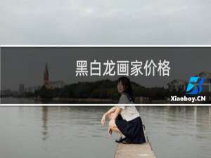 黑白龙画家价格