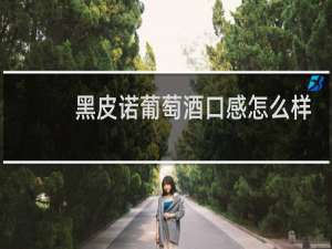 黑皮诺葡萄酒口感怎么样
