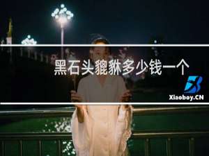黑石头貔貅多少钱一个