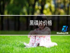 黑碟片价格
