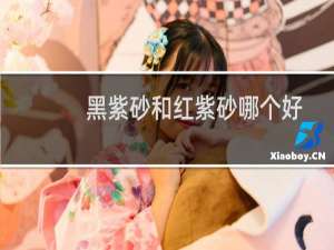 黑紫砂和红紫砂哪个好