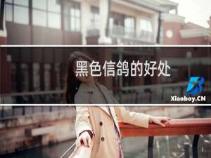 黑色信鸽的好处