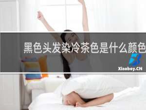 黑色头发染冷茶色是什么颜色