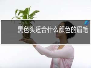 黑色头适合什么颜色的眉笔