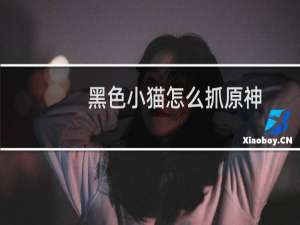 黑色小猫怎么抓原神