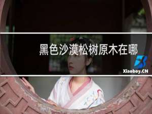 黑色沙漠松树原木在哪