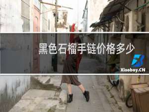 黑色石榴手链价格多少