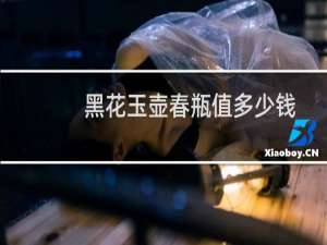 黑花玉壶春瓶值多少钱