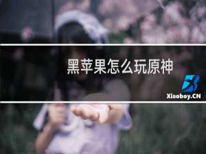 黑苹果怎么玩原神