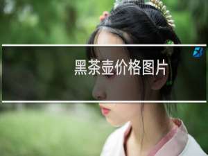 黑茶壶价格图片