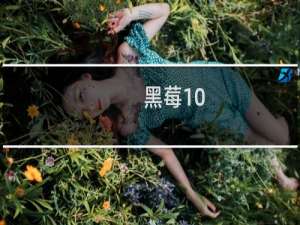 黑莓10（使用代理的方法(jayporxy为例)）