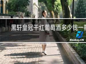 黑轩皇冠干红葡萄酒多少钱一瓶