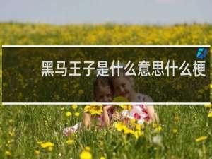 黑马王子是什么意思什么梗