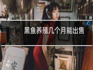 黑鱼养殖几个月能出售