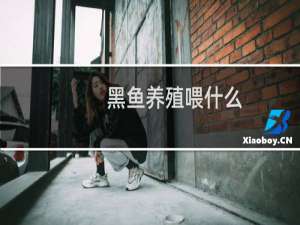 黑鱼养殖喂什么
