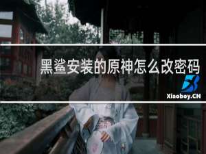 黑鲨安装的原神怎么改密码