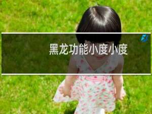 黑龙功能小度小度