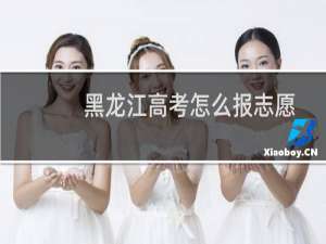 黑龙江高考怎么报志愿
