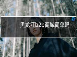 黑龙江b2b商城简单吗