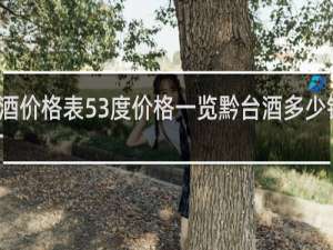 黔台酒价格表53度价格一览黔台酒多少钱香烟网站