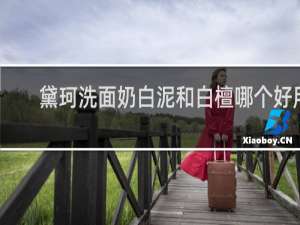 黛珂洗面奶白泥和白檀哪个好用