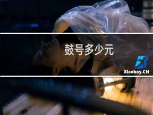 鼓号多少元