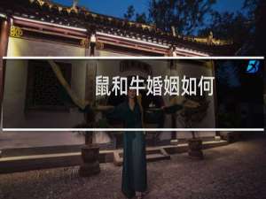 鼠和牛婚姻如何