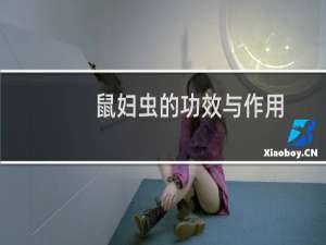 鼠妇虫的功效与作用（鼠妇虫的功效与作用）