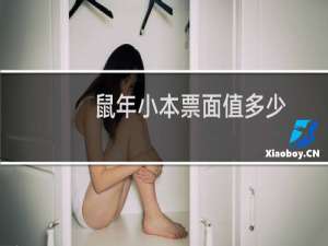 鼠年小本票面值多少