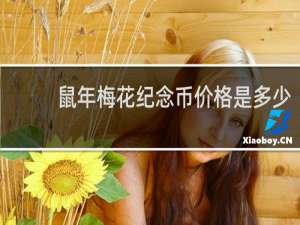 鼠年梅花纪念币价格是多少