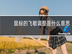 鼠标的飞敏调整是什么意思