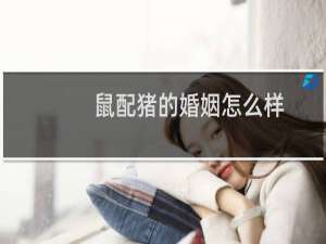 鼠配猪的婚姻怎么样