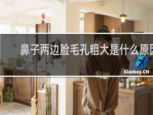 鼻子两边脸毛孔粗大是什么原因