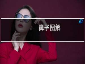 鼻子图解：鼻子看人生运势