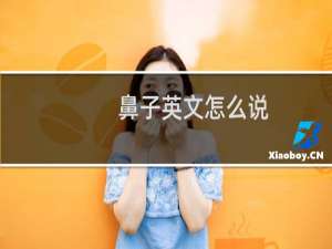 鼻子英文怎么说