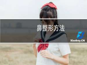 鼻整形方法