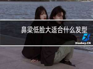 鼻梁低脸大适合什么发型